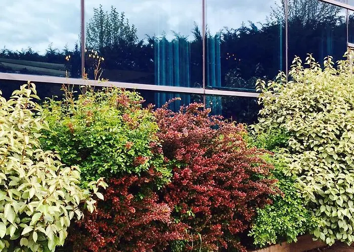 Restaurante El Valles 4 Estrellas